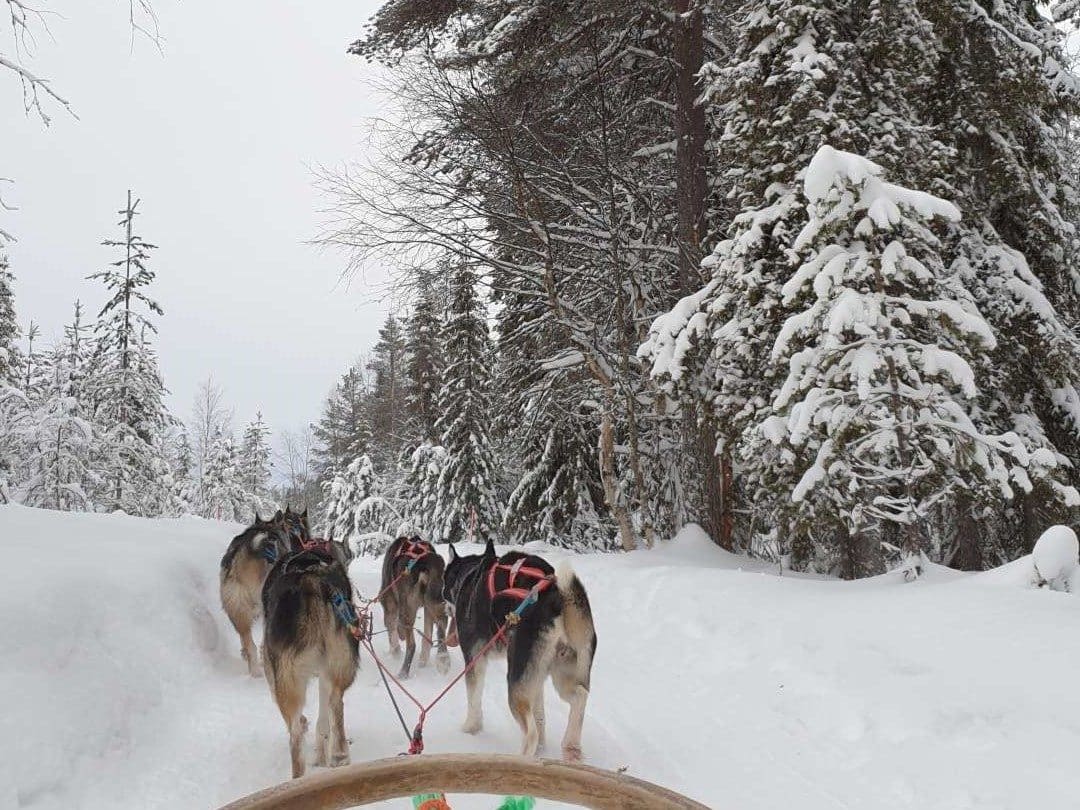 Sfeerimpressie van een onvergetelijke bedrijfsreis naar Fins Lapland