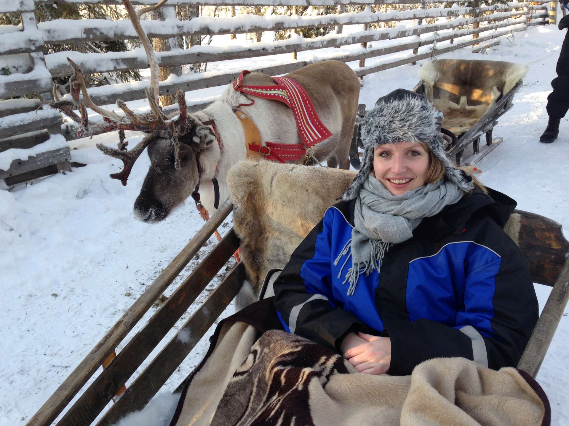 Sfeerimpressie van een onvergetelijke incentive reis naar Lapland