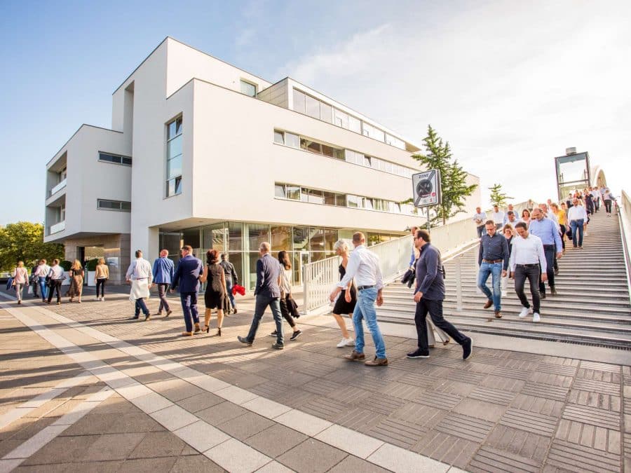 Sfeerimpressie van een onvergetelijke bedrijfsreis naar Maastricht