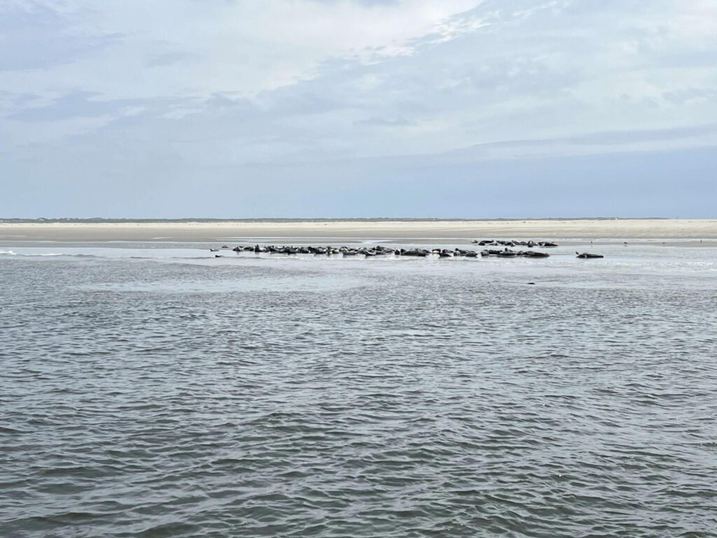 Bedrijfsreis Texel Schiphorst