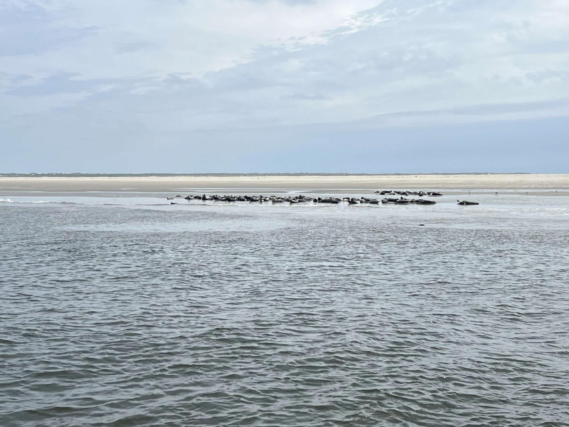 Bedrijfsreis Texel Schiphorst