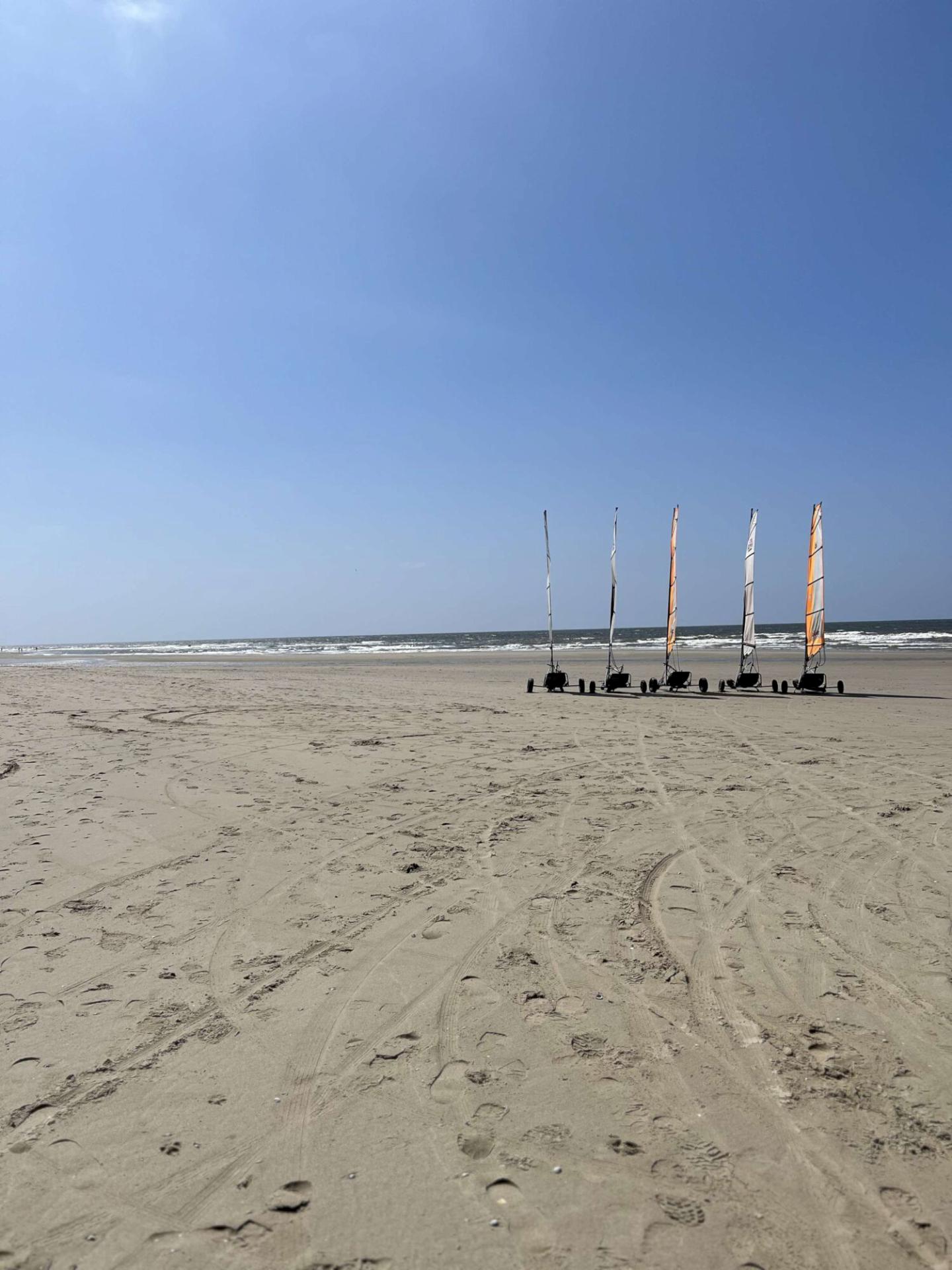 Bedrijfsreis Texel Schiphorst