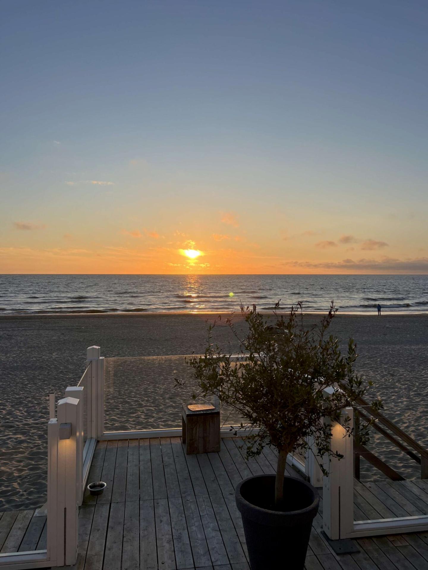 Bedrijfsreis Texel Schiphorst