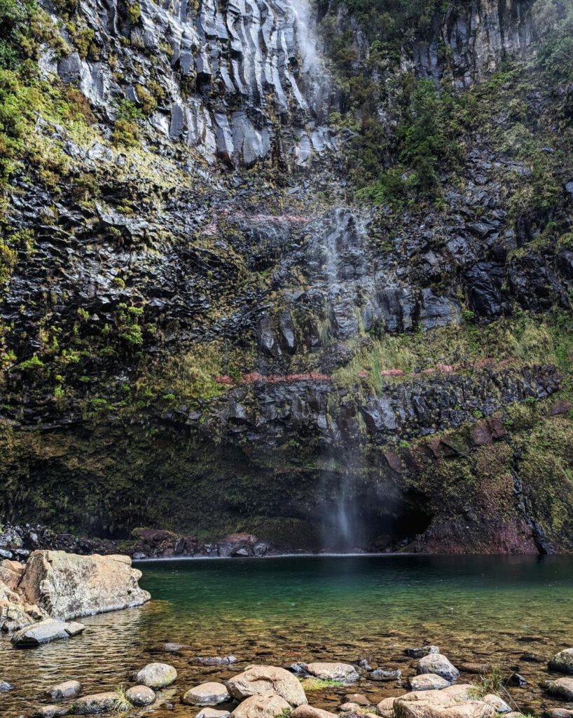 Incentive Madeira Bitonic