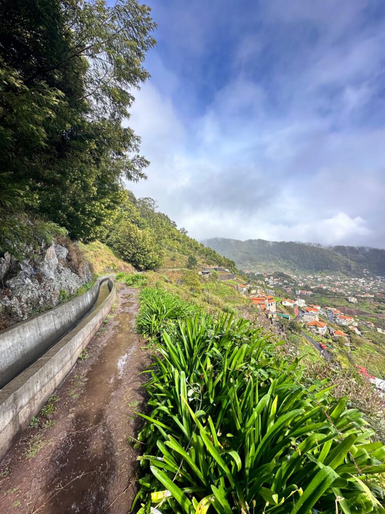 Incentive Madeira Bitonic