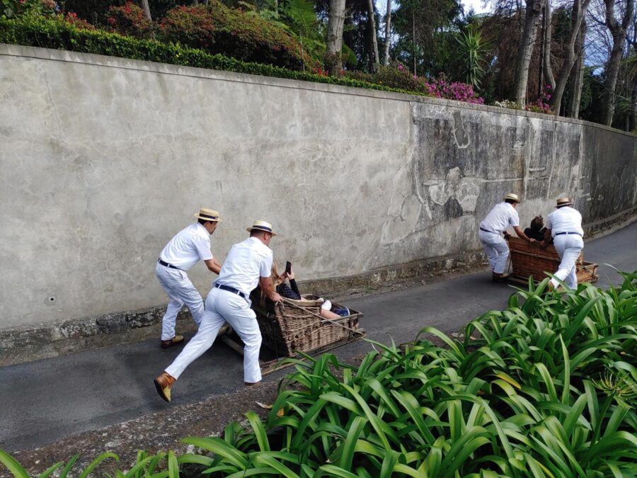 Incentive Madeira Bitonic