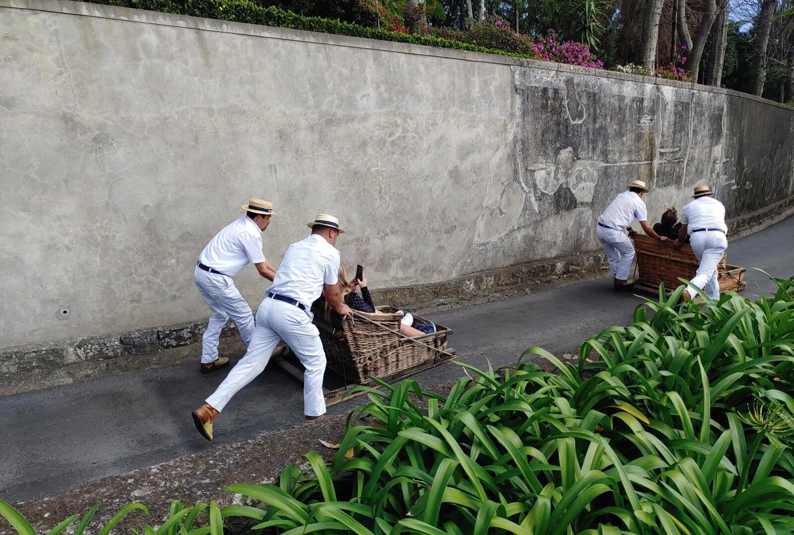 Incentive Madeira Bitonic