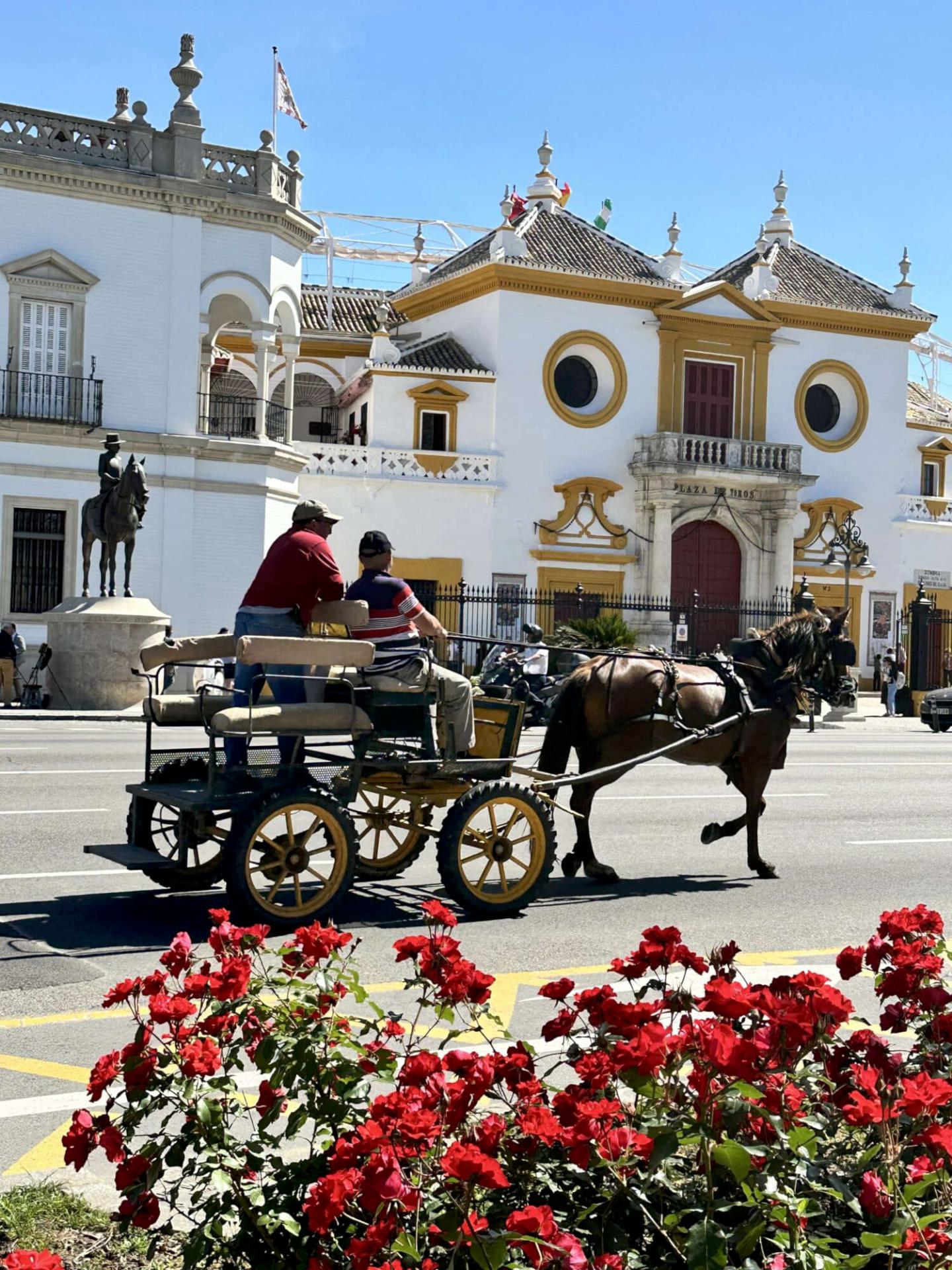 Bedrijfsreis Sevilla