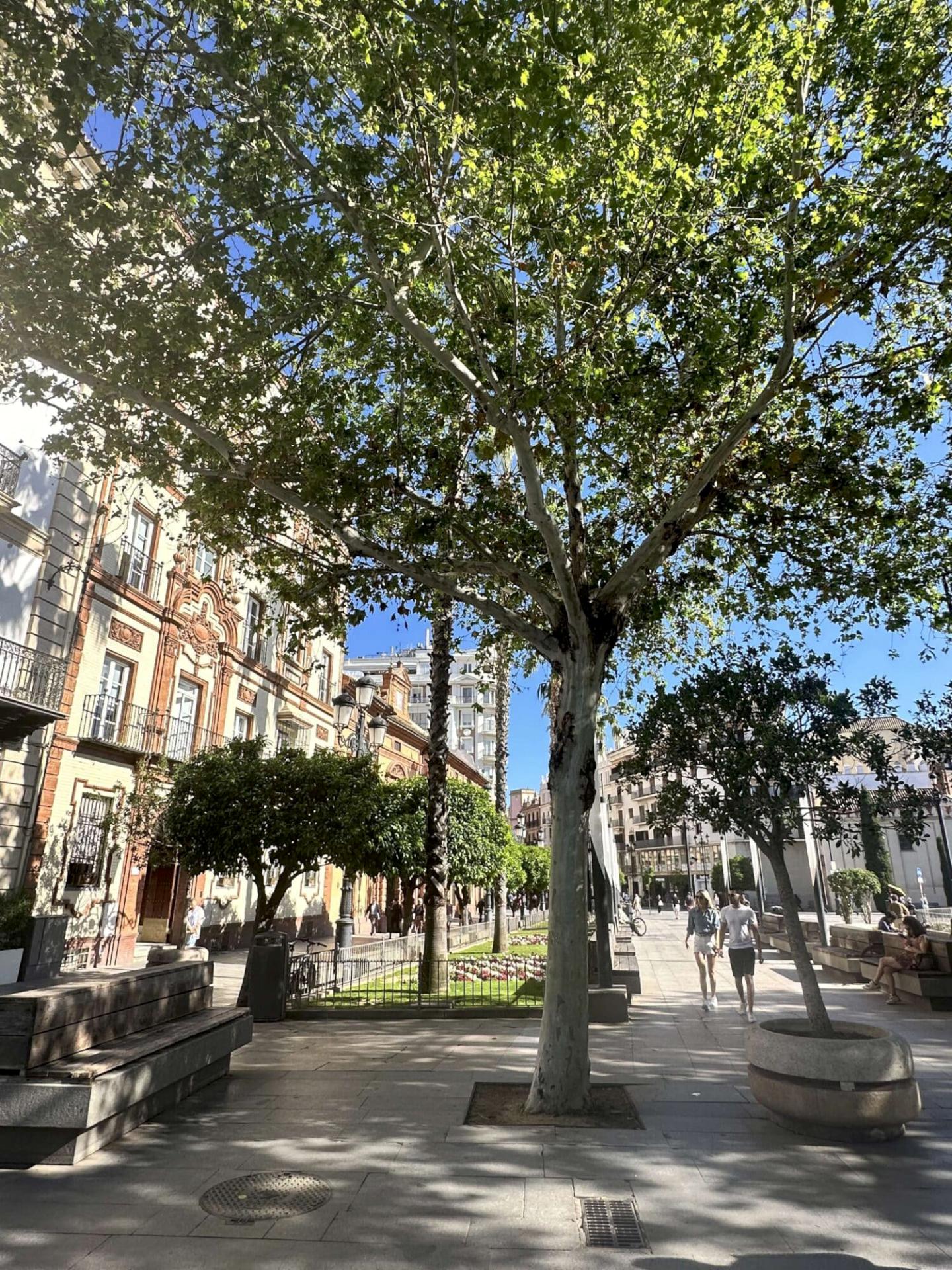 Bedrijfsreis Sevilla