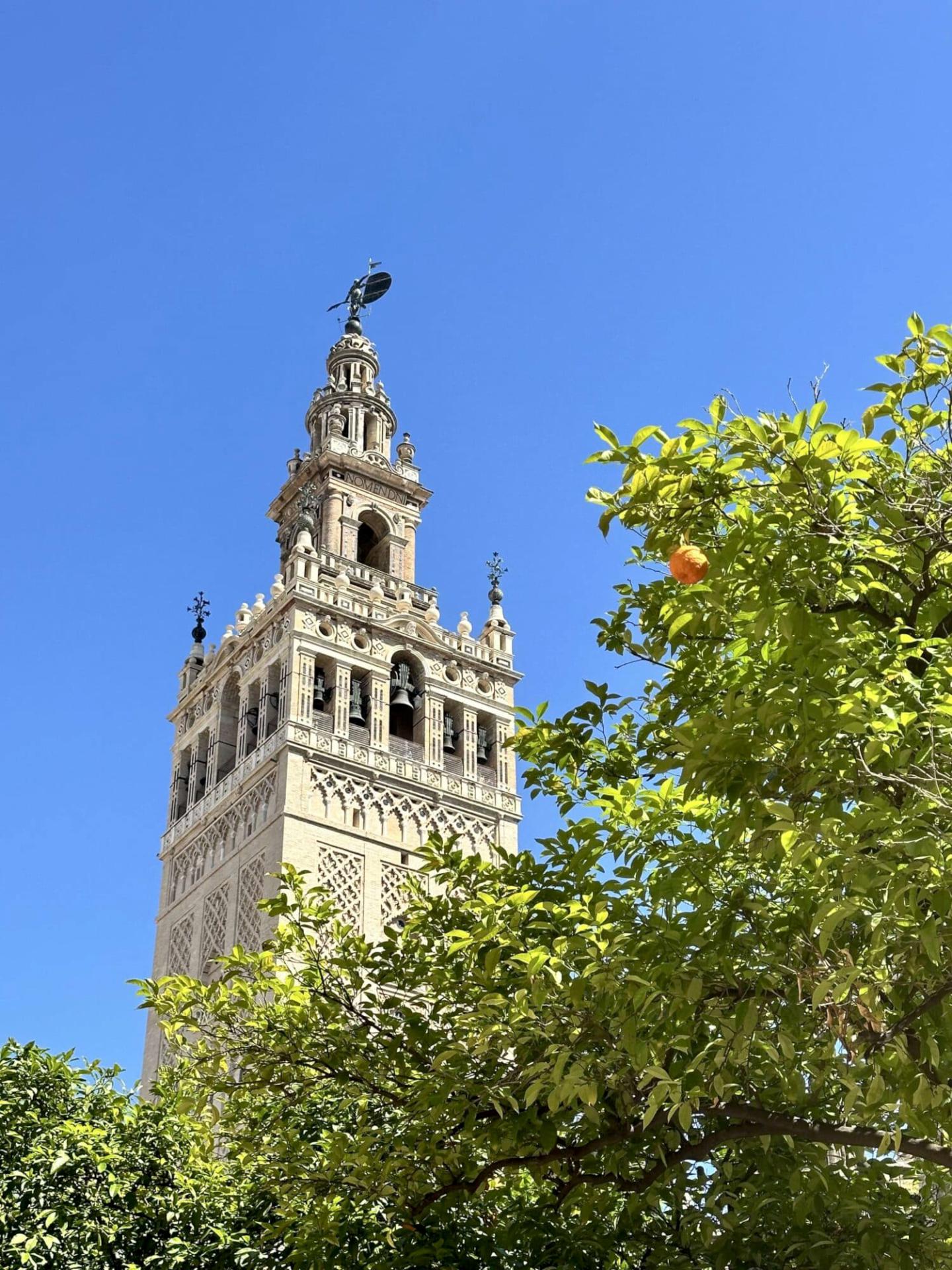 Bedrijfsreis Sevilla