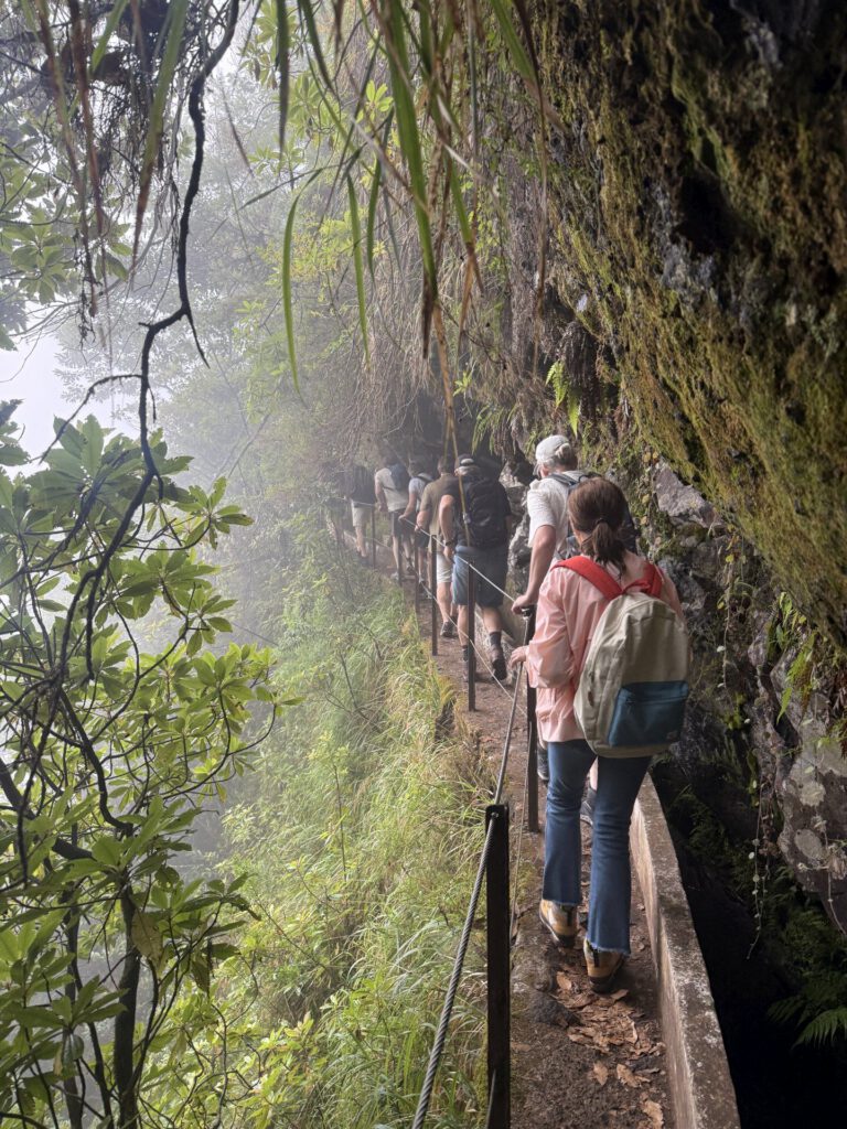 Bedrijfsreis Madeira