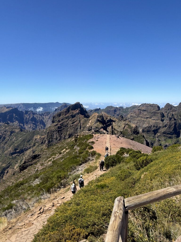 Bedrijfsreis Madeira