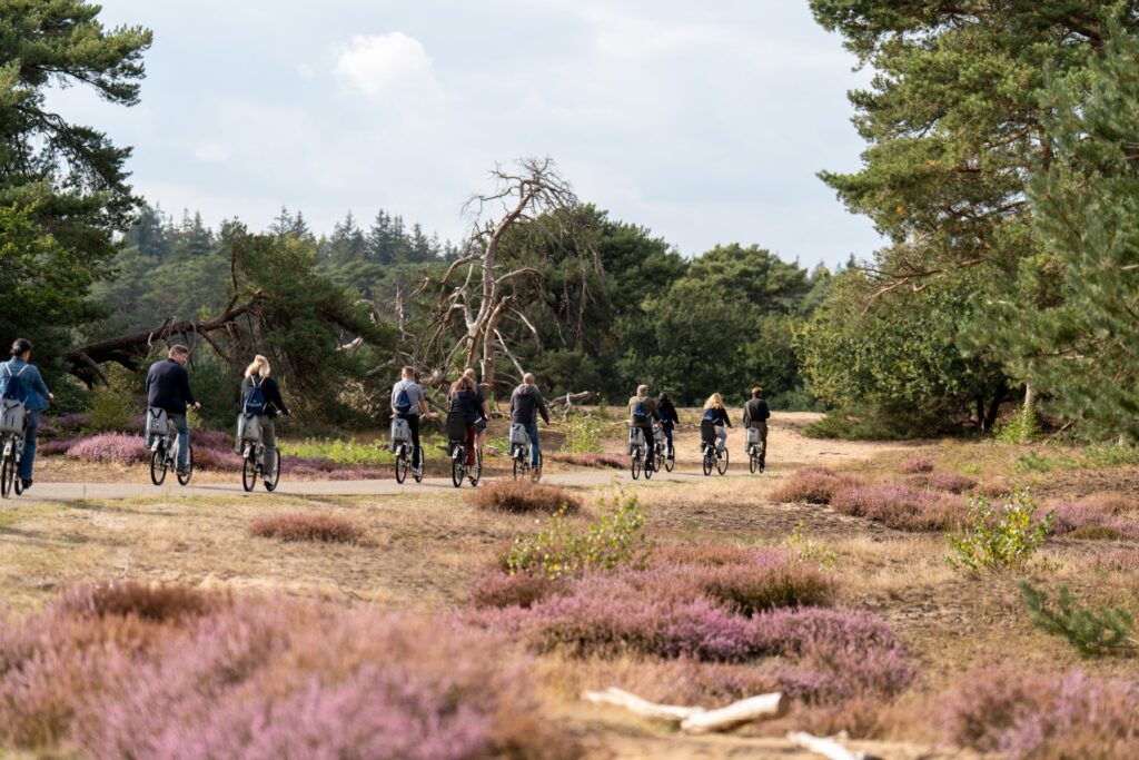 Bedrijfsevenement Veluwe